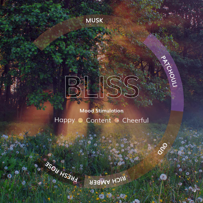 Bliss Electrical Diffuser